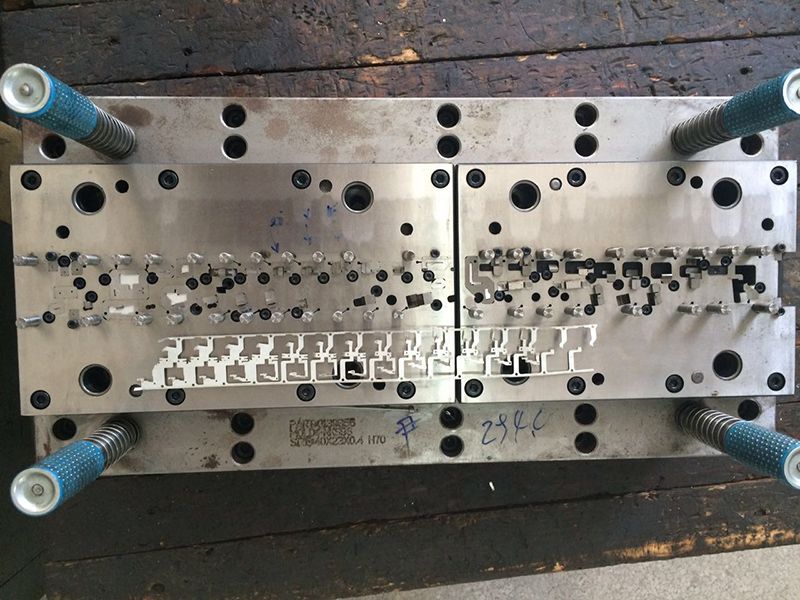 Mold display